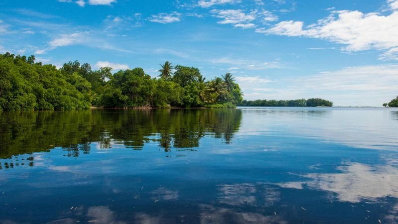 United Airlines Kosrae Office Address